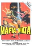 Das Geheimnis der Ninja