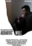 Aquarius Mule